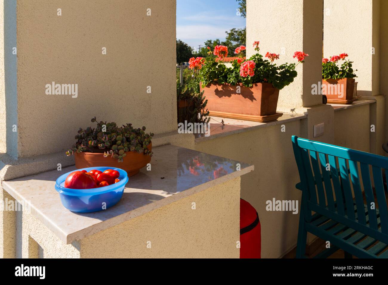 Pomodori coltivati in casa senza prodotti chimici raccolti in giardino rurale, messi in una ciotola, Ungheria Foto Stock