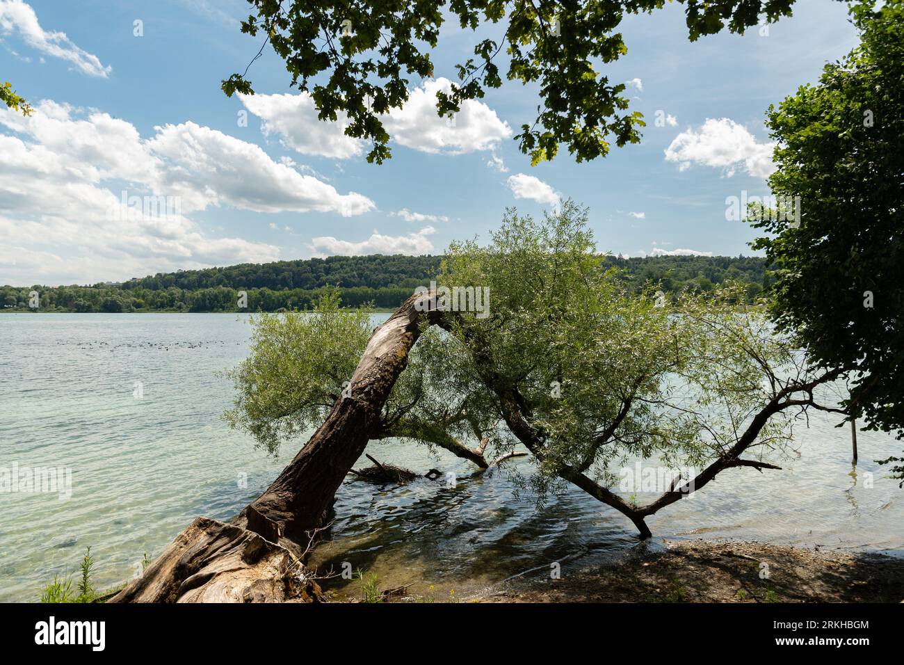 Mainau, Germania, 20 luglio 2023 fantastica vista sul lago di Costanza in una giornata di sole Foto Stock