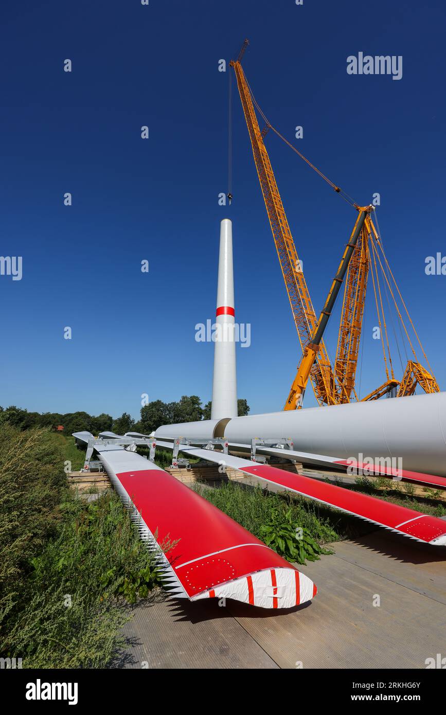 Dorsten, Renania settentrionale-Vestfalia, Germania - costruzione di una turbina eolica, la prima turbina eolica del parco eolico grosse Heide. Le pale del rotore, Foto Stock