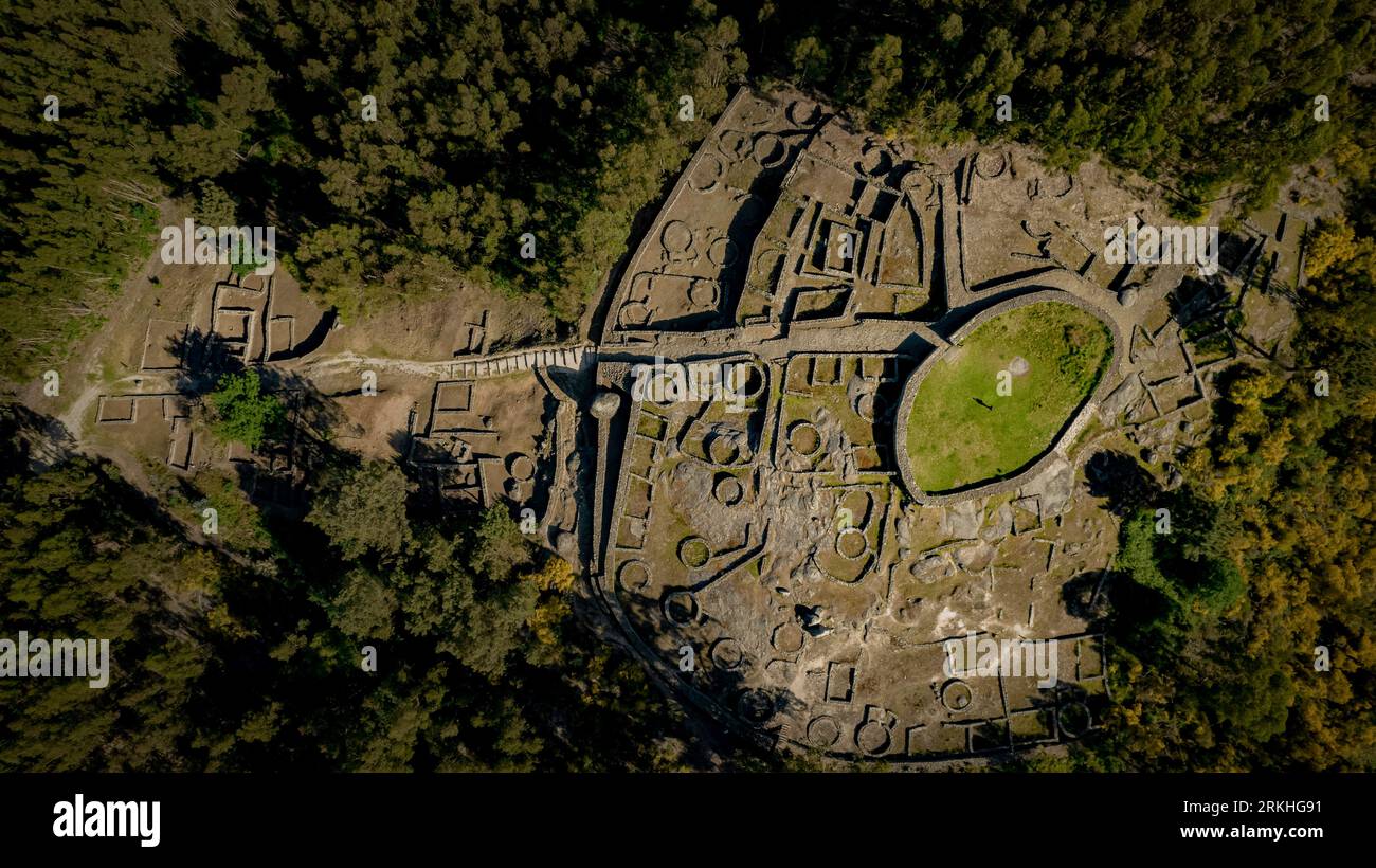 Una vista aerea di un lussureggiante, ampio e verde campo, circondato da alberi Foto Stock