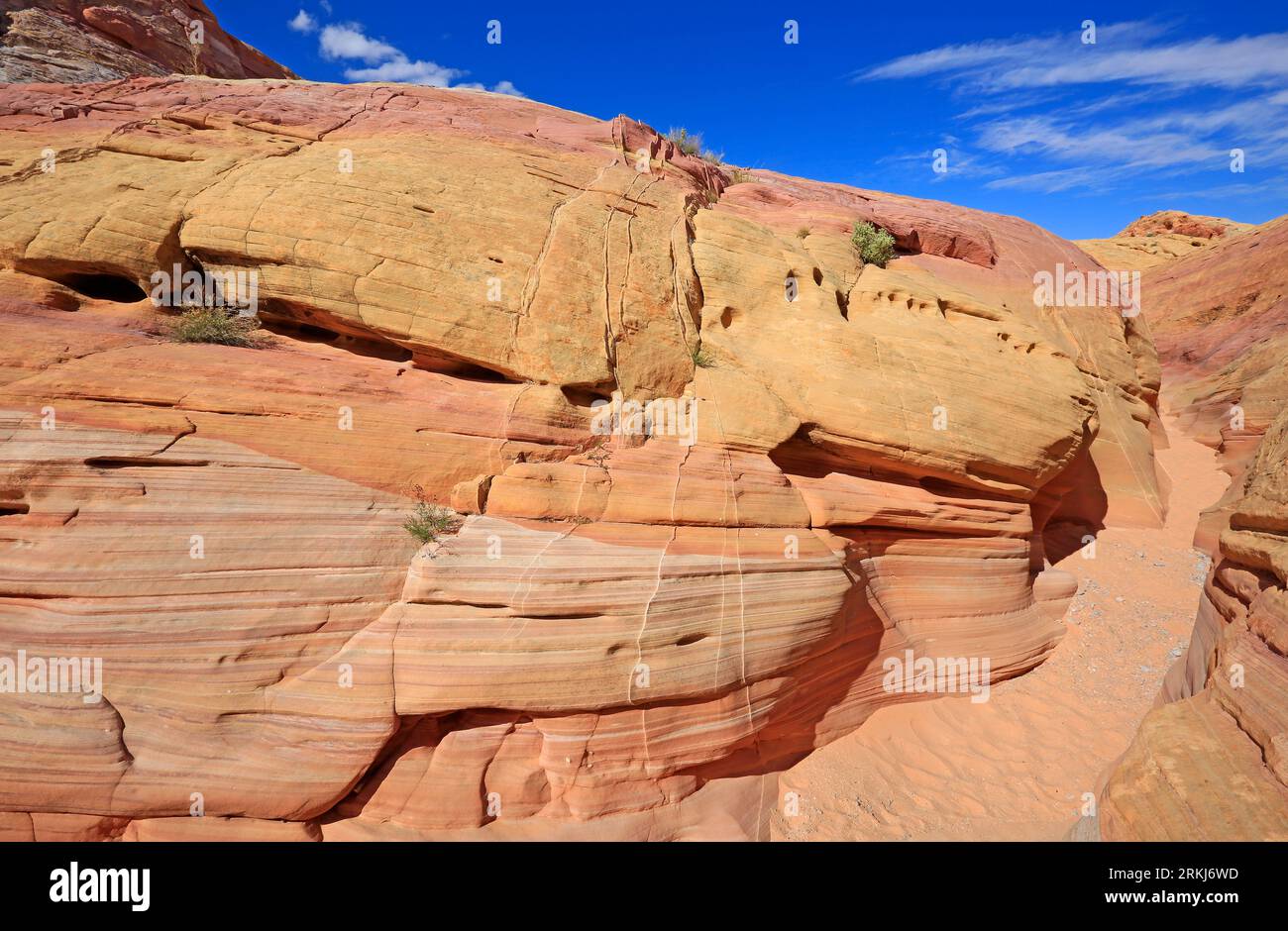 Scogliere rosa arancio del Pastel Canyon - Valley of Fire State Park, Nevada Foto Stock
