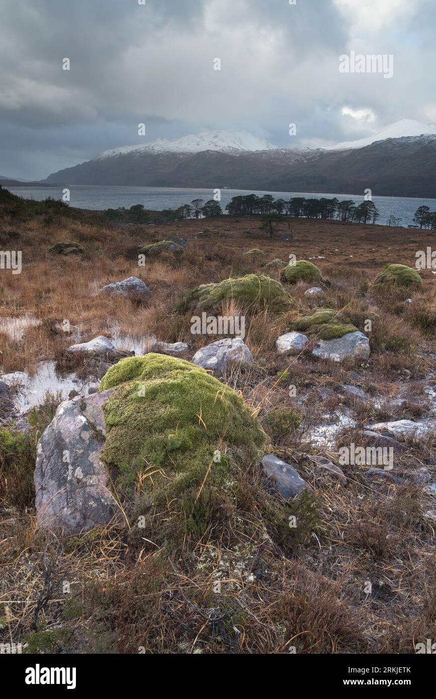 Condizioni invernali a Torridon, West Highlands of Scotland, Regno Unito Foto Stock