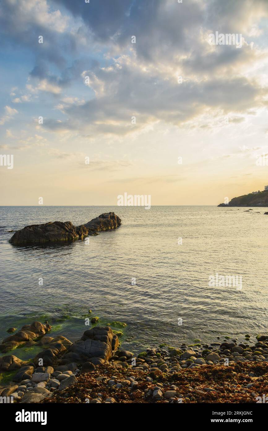 costa di ciottoli di mare nero all'alba. sfondo natalizio in velluto Foto Stock