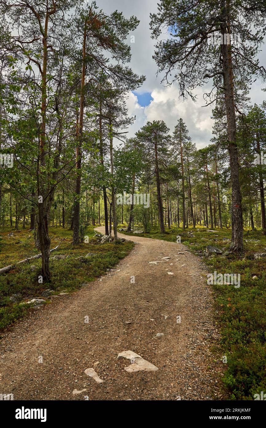 Un tranquillo paesaggio naturale nel Parco Nazionale Pyha-Luosto in Lapponia, Finlandia Foto Stock