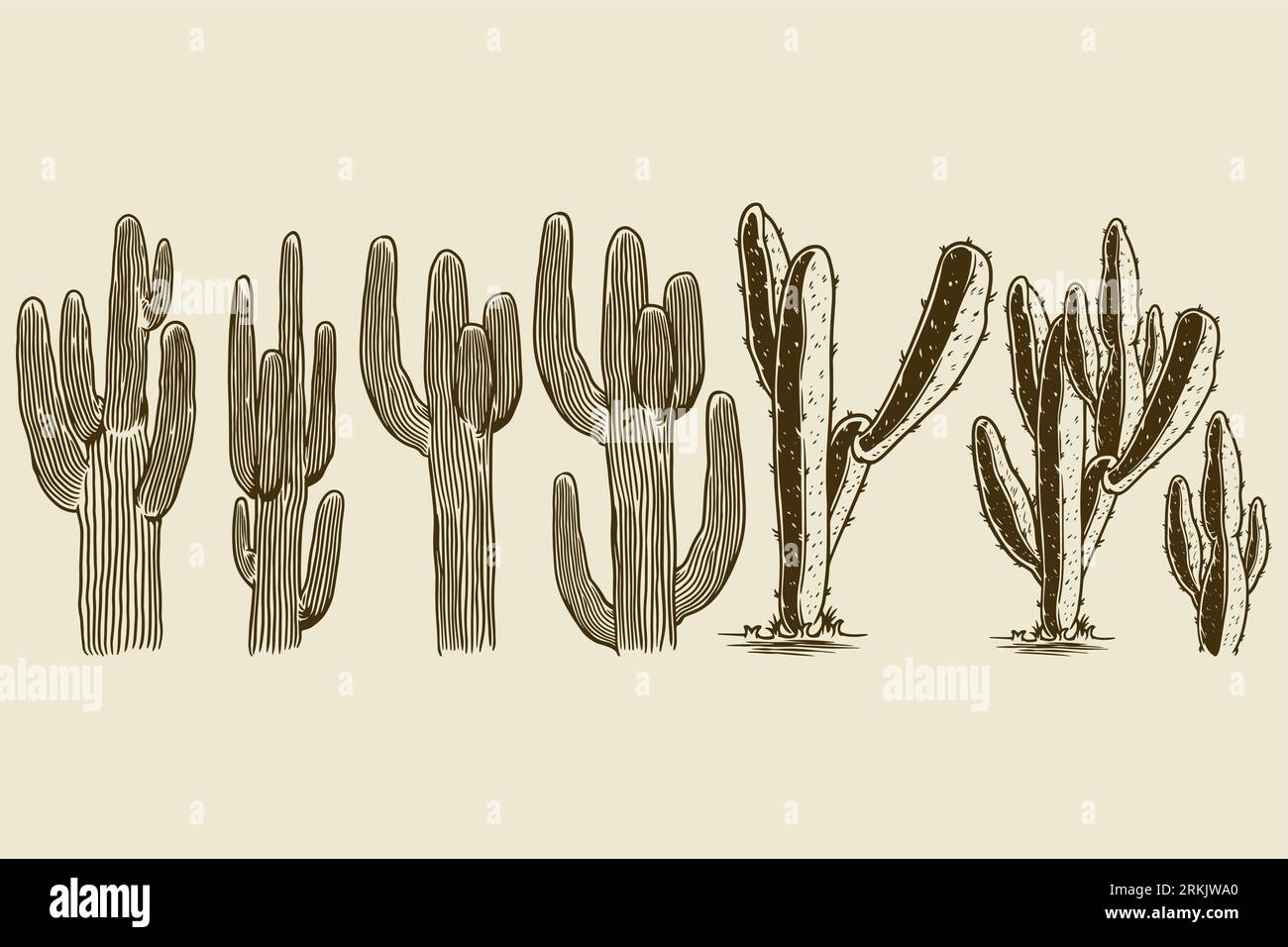 Cactus e succulento set disegnato a mano. Diversi cactus incidono un vecchio elemento di design vintage. Concetto esotico di piante domestiche. Vector cute House Illustrazione Vettoriale