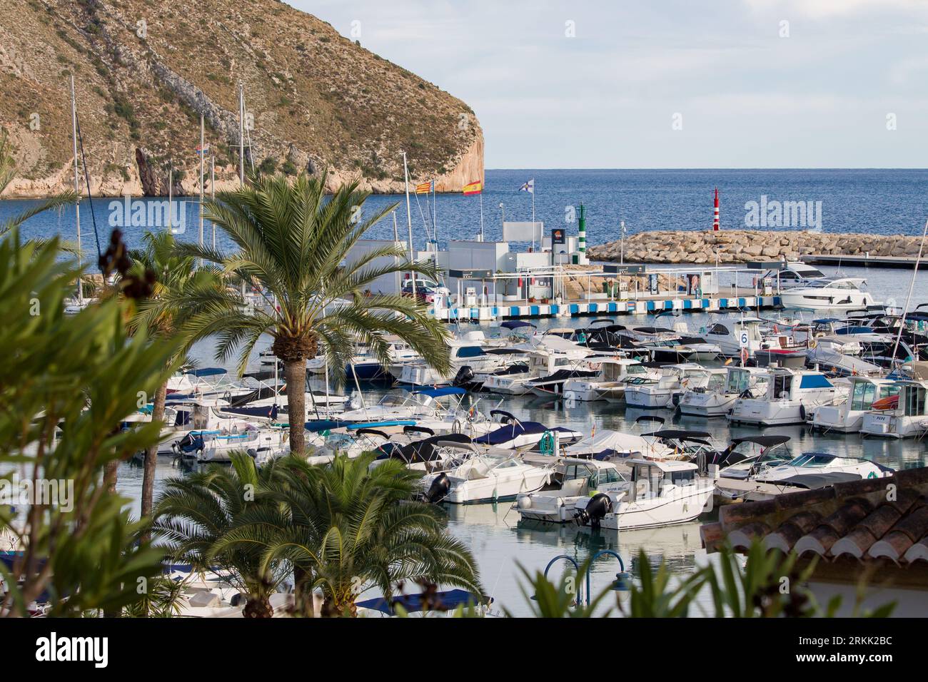 Porto di pescatori di Moraira con palme in primo piano Foto Stock