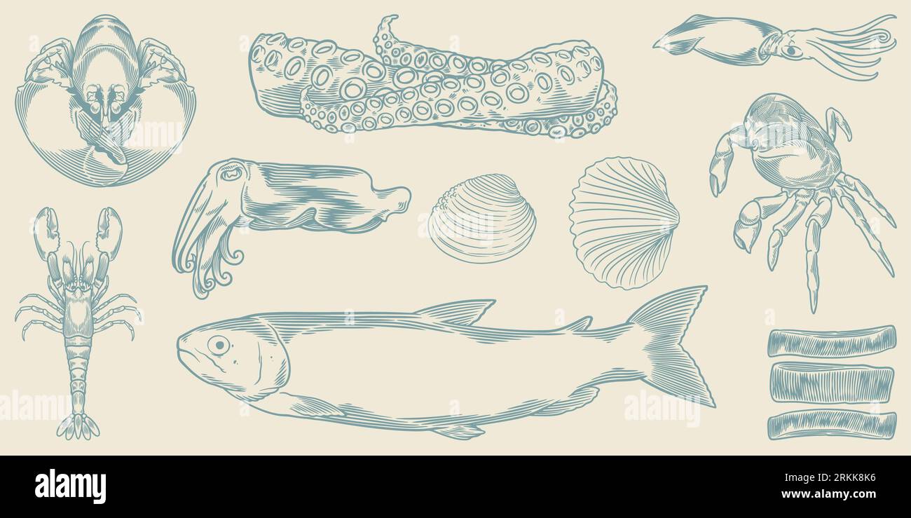 Set di animali marini disegnati a mano. Pesce fresco disegnato a mano isolato su sfondo bianco. Illustrazione Vettoriale