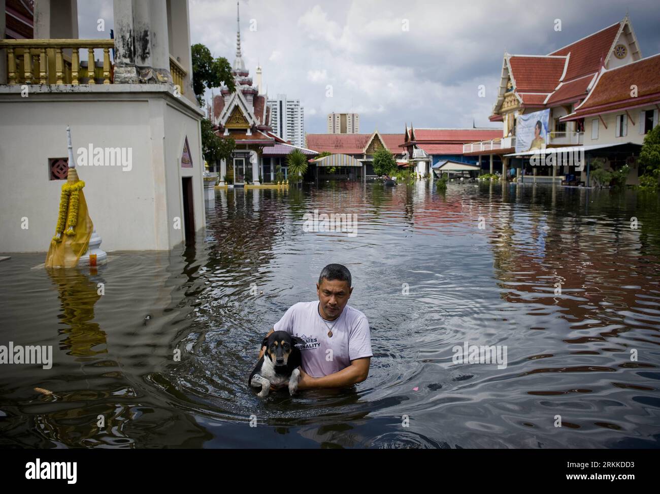 Bildnummer: 56227859 Datum: 29.10.2011 Copyright: imago/Xinhua (111029) -- BANGKOK, 29 ottobre 2011 (Xinhua) -- Un uomo che trasporta il suo cane cammina in alluvione a Bangkok, capitale della Thailandia, 29 ottobre 2011. A Bangkok si stanno preparando per il disastro delle inondazioni, che devastano il paese da più di tre mesi e non mostrano segni di regressione. (Xinhua/lui Siu Wai) THAILAND-BANGKOK-FLOOD PUBLICATIONxNOTxINxCHN Gesellschaft Thailand Hochwasser x0x xtm Premiumd 2011 quer 56227859 Data 29 10 2011 Copyright Imago XINHUA Bangkok OCT 29 2011 XINHUA a Man Carriage His Dog Walks in Flood in Bangkok Capi Foto Stock