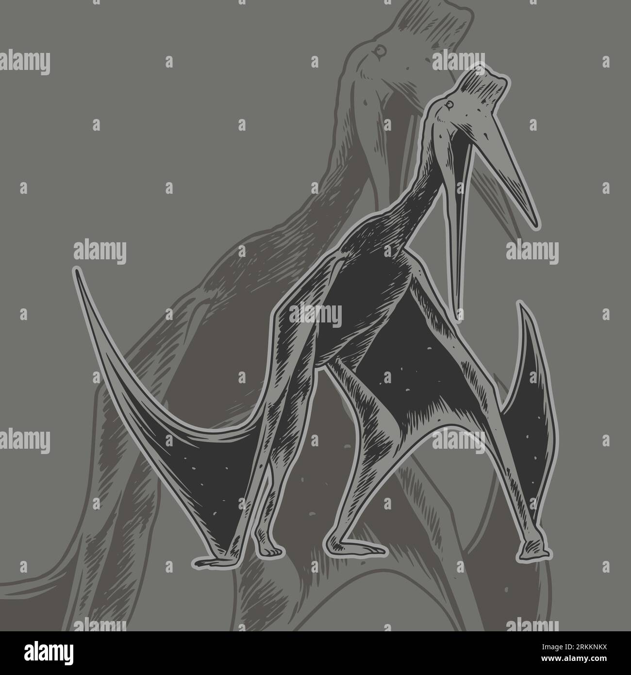 Dinosauro pterosauro, scheletri, fossili, lucertola alata. Animali antichi estinti. Illustrazione vettoriale disegno vintage disegnato a mano inciso per t-shirt pri Illustrazione Vettoriale