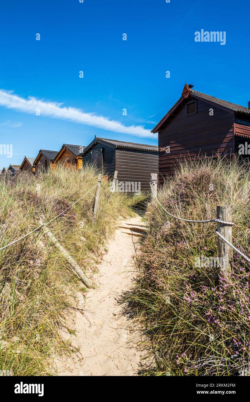 Tipici rifugi britannici sulla spiaggia a Studland Bay, Dorset, in estate. Cieli azzurri, erba verde e dune di sabbia. Vacanze, vacanza. Noleggi. Foto Stock