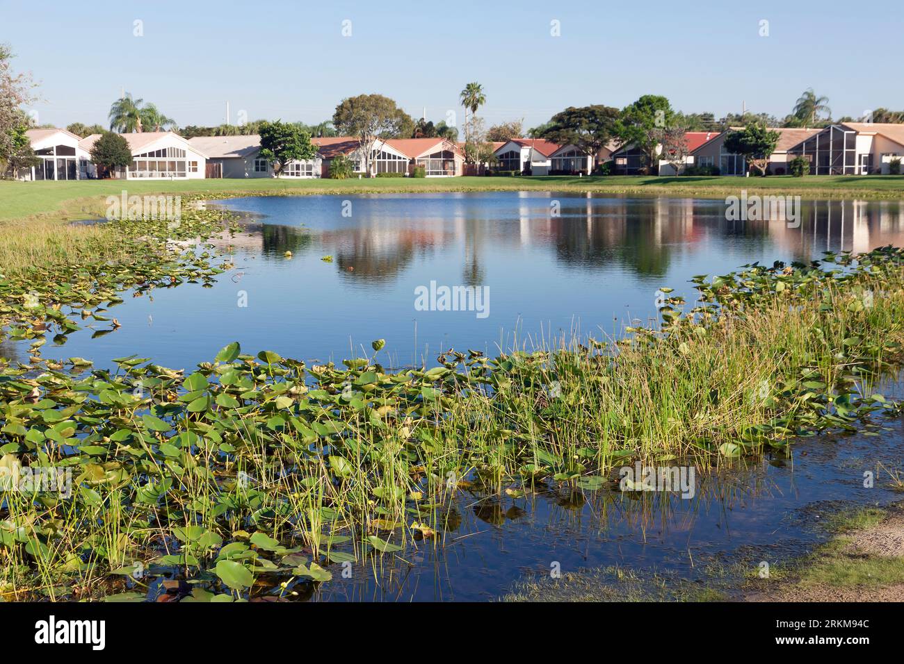 Lago d'acqua dolce in una comunità recintata della Florida. Foto Stock