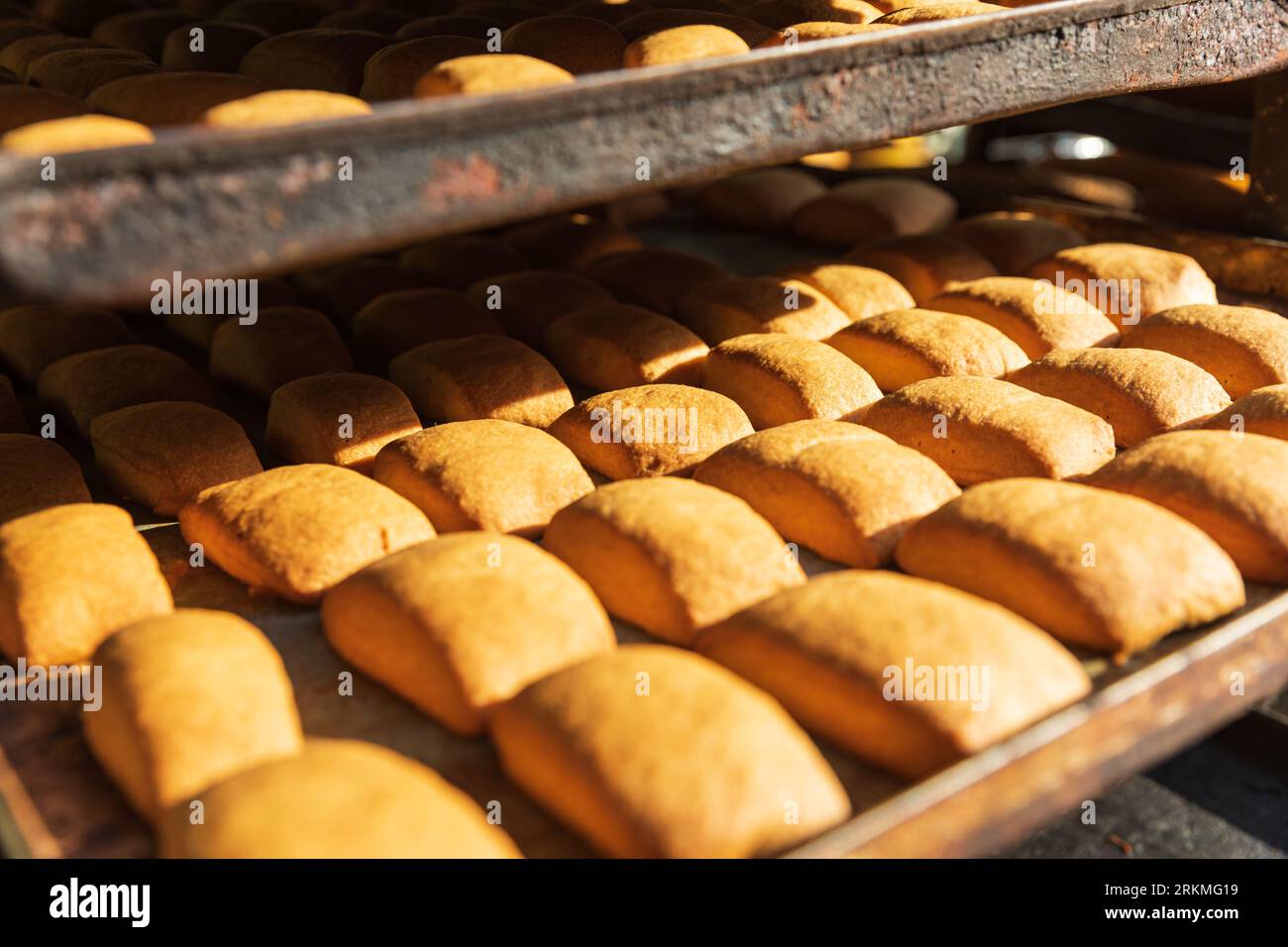 Cairo, Egitto, Africa. Rotoli su un vassoio in una panetteria del Cairo. Foto Stock