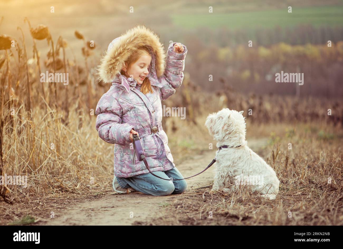 Ragazza felice con il suo cane razza White Terrier che cammina in un campo in autunno Foto Stock