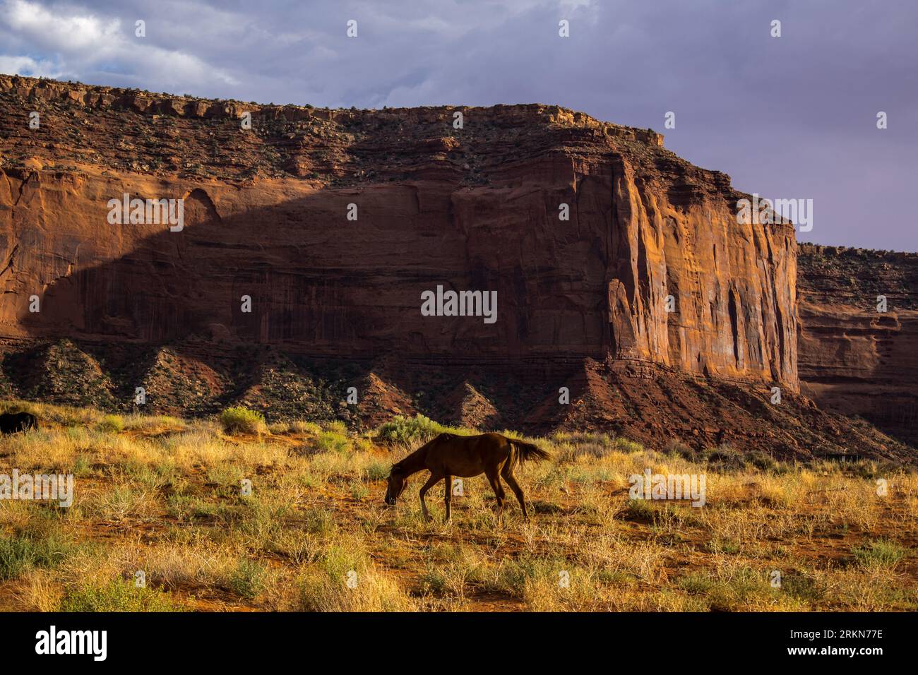 Ingresso al Tribal Park, Monument Valley Arizona Foto Stock