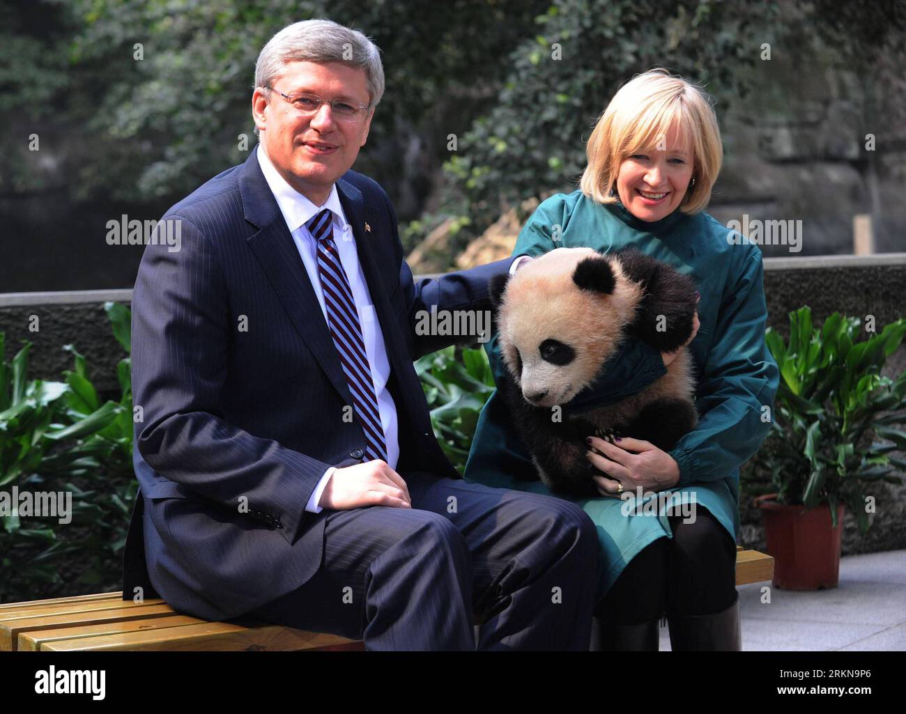 (120211) -- CHONGQING, 11 febbraio 2012 (Xinhua) -- in visita al primo ministro canadese Stephen Harper guarda mentre sua moglie Laureen tiene un panda in uno zoo a Chongqing, nel sud-ovest della Cina, 11 febbraio 2012. (Xinhua/li Jian) CHINA-CHONGQING-CANADIAN PM-VISIT (CN) PUBLICATIONxNOTxINxCHN Foto Stock