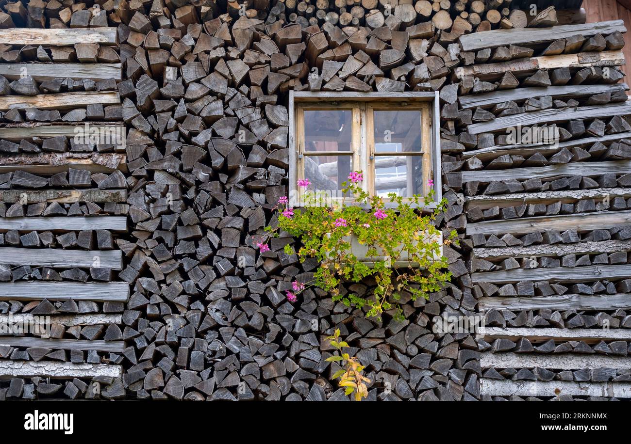 woodpile in una casa di legno intorno a una finestra, Svizzera, Kanton St Gallen Foto Stock