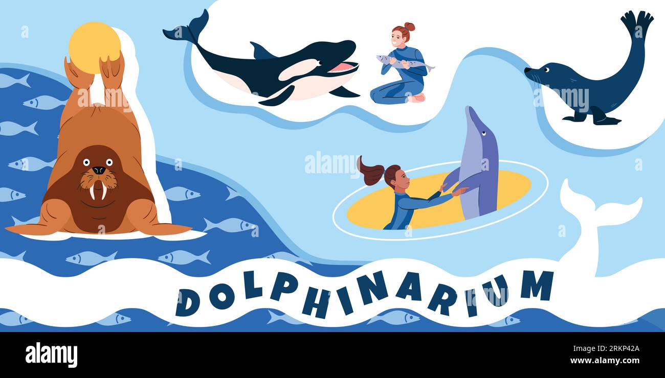 Dolphinarium acquario collage in stile piatto con addestratori femminili e simpatici animali intelligenti che eseguono trucchi illustrazioni vettoriali Illustrazione Vettoriale