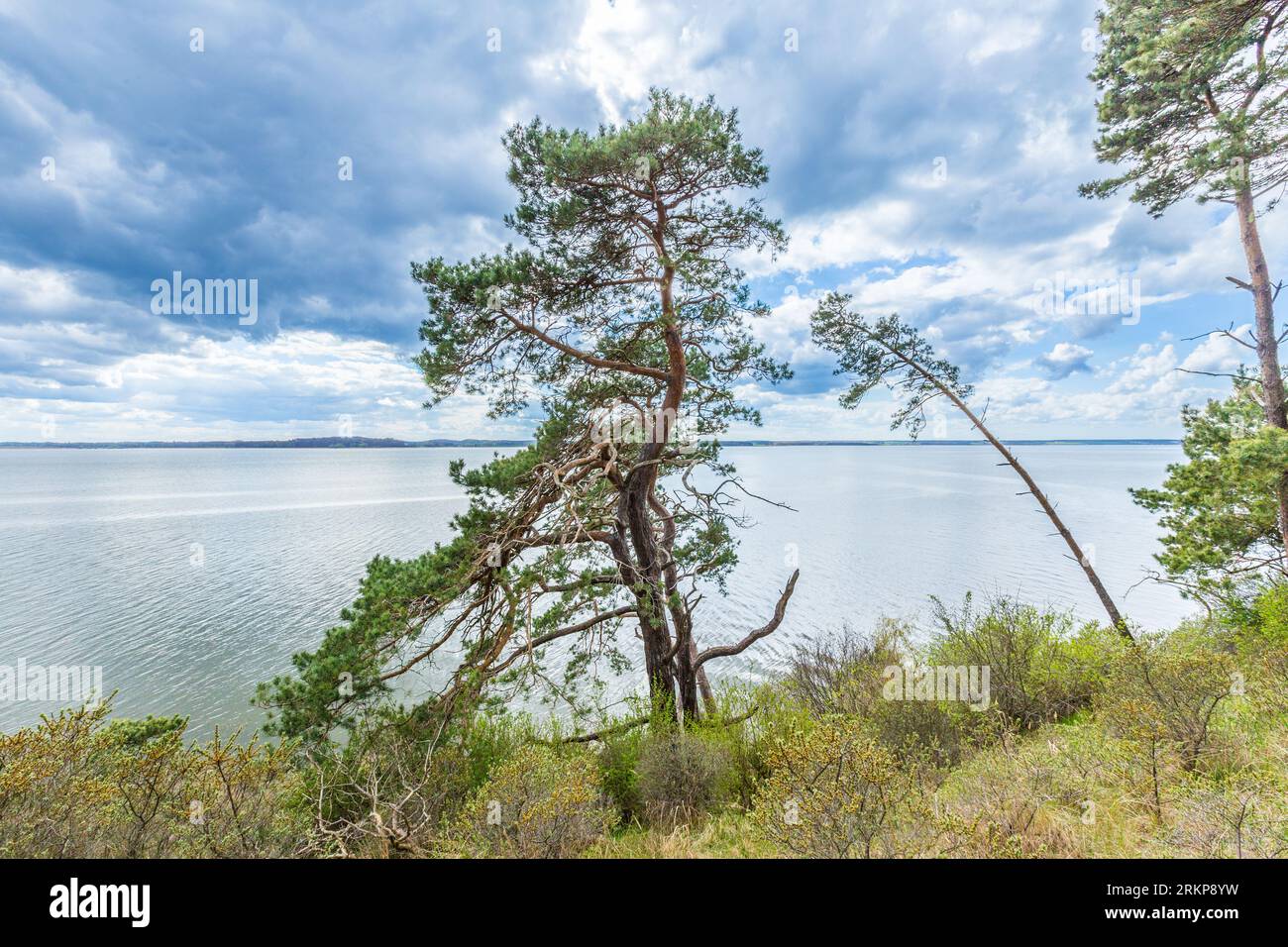 Romantica scogliera ripida con lago a Gnitz in Usedom Foto Stock