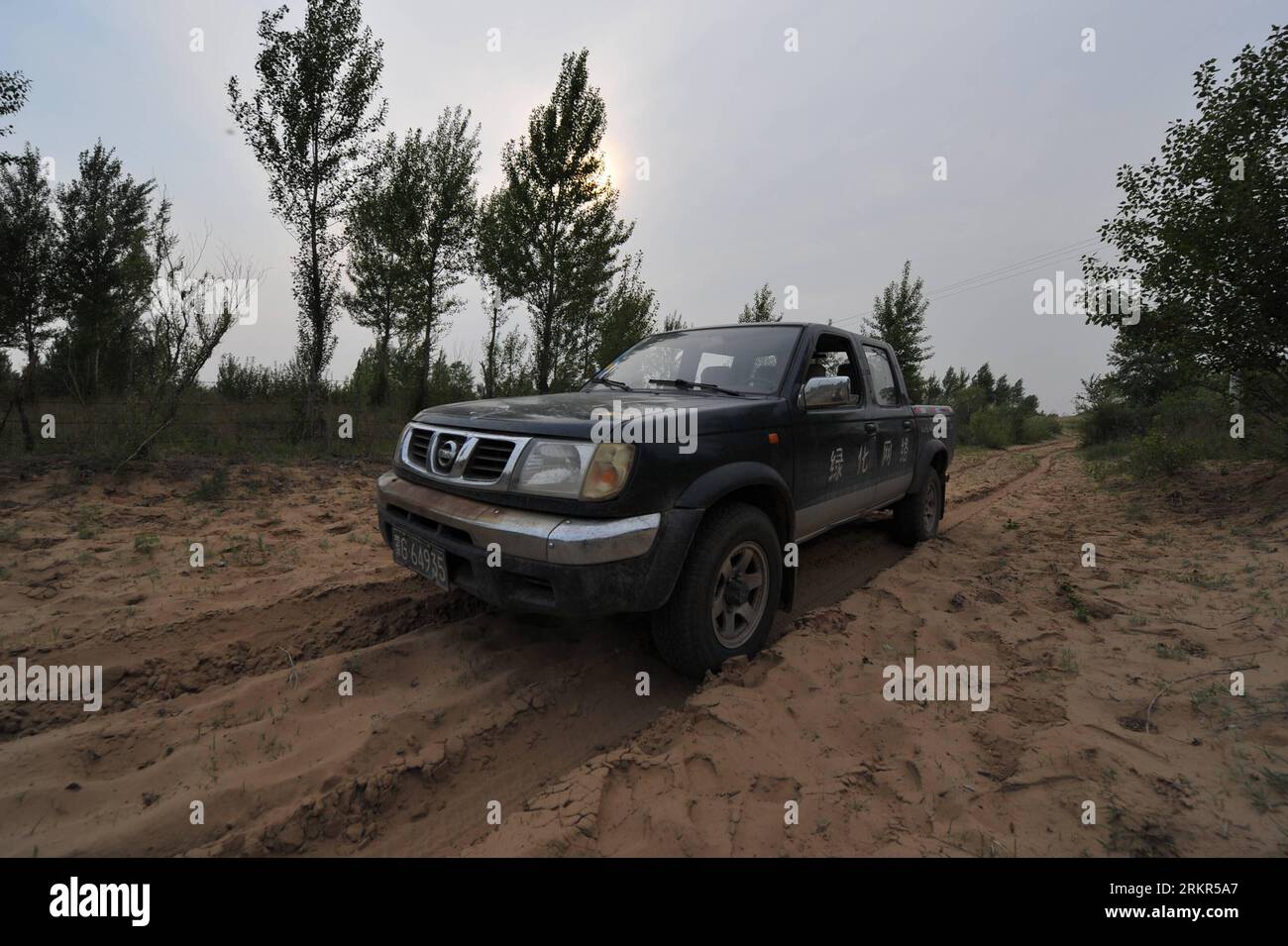 Bildnummer: 58122690 Datum: 20.06.2012 Copyright: imago/Xinhua (120620) -- TONGLIAO, 20 giugno 2012 (Xinhua) -- Otaki Takashi drives in Kulun Banner of Tongliao City, regione autonoma della Mongolia interna della Cina settentrionale, 11 giugno 2012. Green Network è una ONG con sede in Giappone dedicata all'imboschimento, che ha avviato il progetto verde a Horqin nel 2000. Otaki Takashi, uno dei fondatori della Green Network, ha fondato la filiale della Green Network a Horqin, ala sinistra, bandiera posteriore della regione autonoma della Mongolia interna della Cina settentrionale 12 anni fa e non se n'è mai andato. Nel 1997, Otaki Takashi, laureato in Giappone, era grea Foto Stock