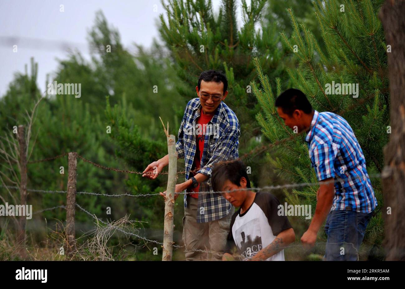 Bildnummer: 58122697 Datum: 20.06.2012 Copyright: imago/Xinhua (120620) -- TONGLIAO, 20 giugno 2012 (Xinhua) -- Otaki Takashi (L) lavora con i membri della rete Verde a Kulun Banner della città di Tongliao, regione autonoma della Mongolia interna della Cina settentrionale, 11 giugno 2012. Green Network è una ONG con sede in Giappone dedicata all'imboschimento, che ha avviato il progetto verde a Horqin nel 2000. Otaki Takashi, uno dei fondatori della Green Network, ha fondato la filiale della Green Network a Horqin, ala sinistra, bandiera posteriore della regione autonoma della Mongolia interna della Cina settentrionale 12 anni fa e non se n'è mai andato. Nel 1997, Otaki Takashi Foto Stock
