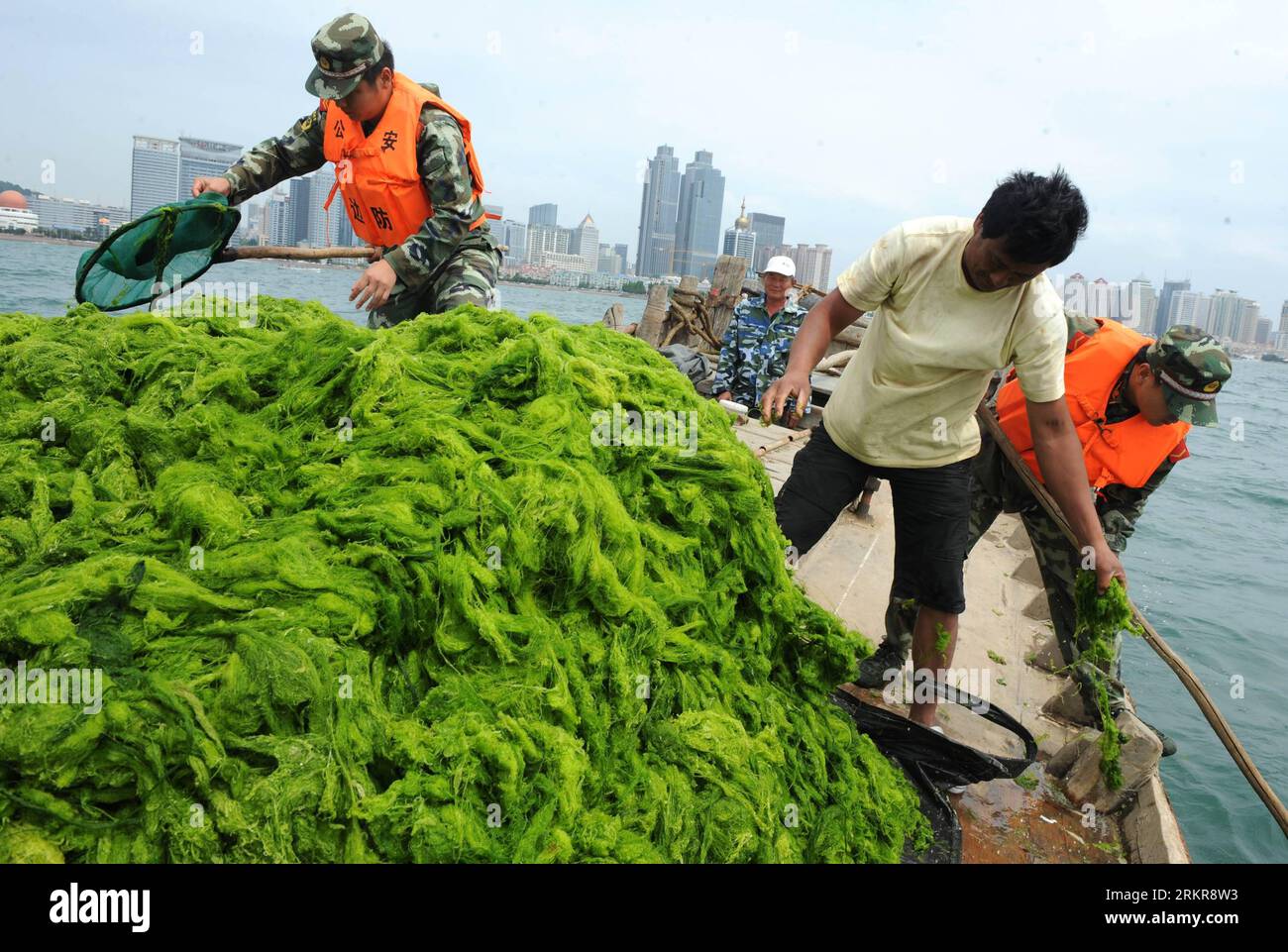 Bildnummer: 58154632 Datum: 27.06.2012 Copyright: imago/Xinhua (120627) -- QINGDAO, 27 giugno 2012 (Xinhua) -- soldati sgombrano alghe verdi sull'acqua vicino al centro velico olimpico di Qingdao, provincia dello Shandong della Cina orientale, 27 giugno 2012. Le alghe verdi, o enteromorpha prolifera, sono state lavate a terra ampiamente a Qingdao. (Xinhua/li Ziheng) (Ly) CHINA-QINGDAO-GREEN ALGAE (CN) PUBLICATIONxNOTxINxCHN Gesellschaft Algen Algenplage Reinigen premiumd xbs x0x 2012 quer 58154632 Data 27 06 2012 Copyright Imago XINHUA Qingdao giugno 27 2012 XINHUA Soldiers Clear Up Green Algae ON the Water Nea Foto Stock