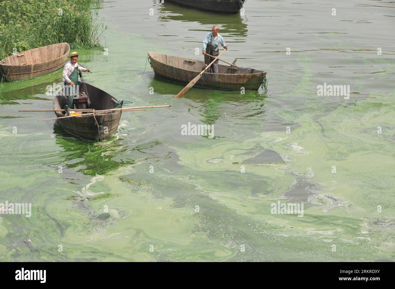 Bildnummer: 58207686 Datum: 08.07.2012 Copyright: imago/Xinhua (120708) -- HEFEI, 8 luglio 2012 (Xinhua) -- i pescatori pagano nell'acqua del lago Chaohu, nella provincia di Anhui della Cina orientale, 8 luglio 2012. Alghe blu-verdi raccolte recentemente nel lago Chaohu a causa dell'aumento della temperatura. (Xinhua/Yang Xiaoyuan)(mcg) CHINA-ANHUI-CHAOHU LAKE-BLUE-GREEN ALGAE (CN) PUBLICATIONxNOTxINxCHN Gesellschaft Natur Algen Algenplage Algenbefall Fischer xrj x0x 2012 quer 58207686 Data 08 07 2012 Copyright Imago XINHUA Hefei 8 luglio 2012 i pescatori di XINHUA PAGAIANO nell'acqua del lago Chaohu, Cina orientale, Anhui Foto Stock