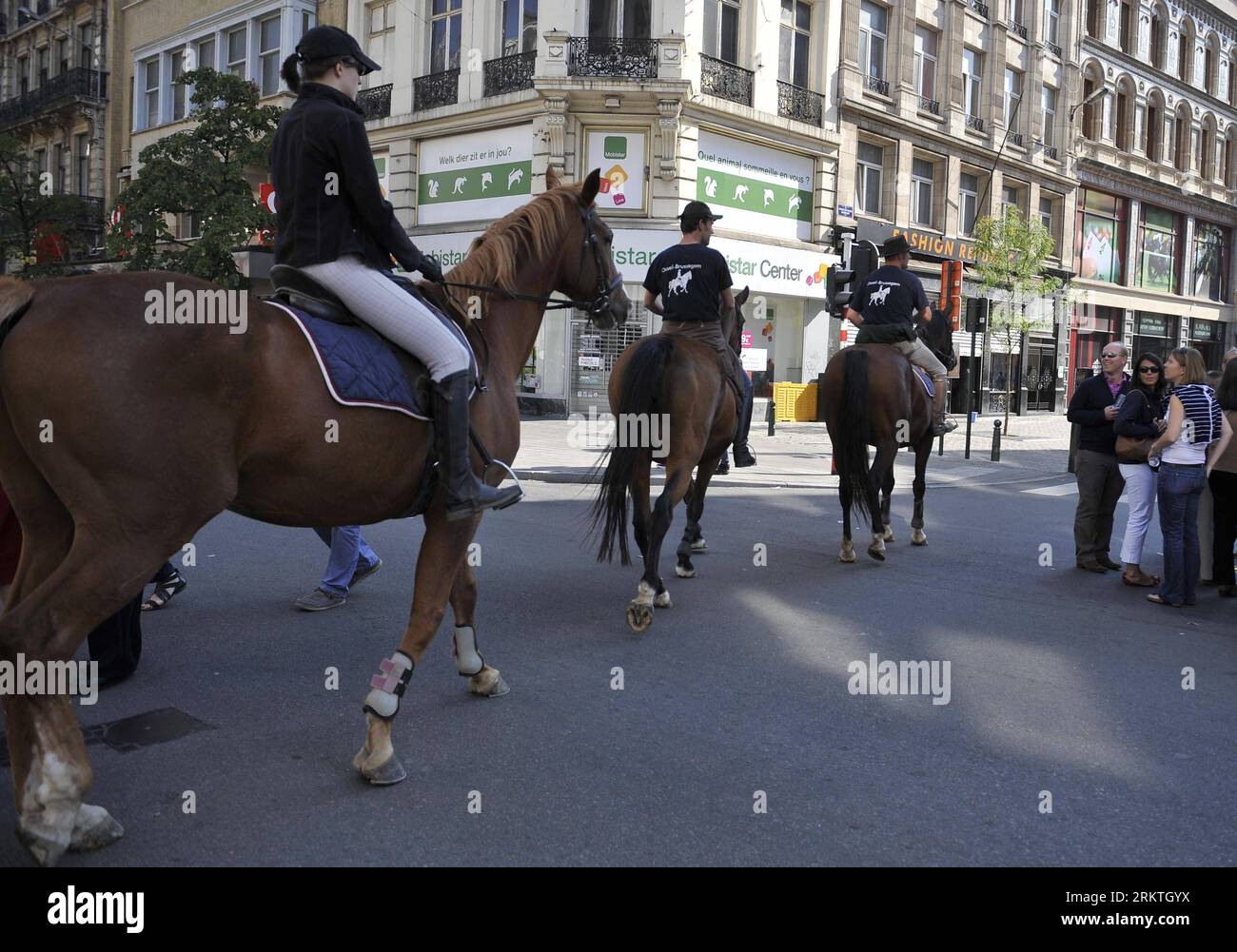 Bildnummer: 58477470 Datum: 16.09.2012 Copyright: imago/Xinhua (120916) -- BRUXELLES, 16 settembre 2012 (Xinhua) -- cavalcare cavalli nel centro di Bruxelles, capitale del Belgio, durante l'annuale Car Free Sunday , il 16 settembre 2012. Dalle 09:00 alle 19:00 del giorno, il traffico automobilistico, fatta eccezione per i servizi urgenti, i veicoli di interesse pubblico non sono ammessi nella regione di Bruxelles, compresa la città di Bruxelles. La domenica senza auto fa parte della settimana europea della mobilità (dal 16 al 22 settembre). (Xinhua/Ye Pingfan)(zyw) BELGIO-BRUXELLES-SENZA AUTO DOMENICA PUBLICATIONxNOTxINxCHN Gesellschaft Verkehr Straße autofreier S Foto Stock