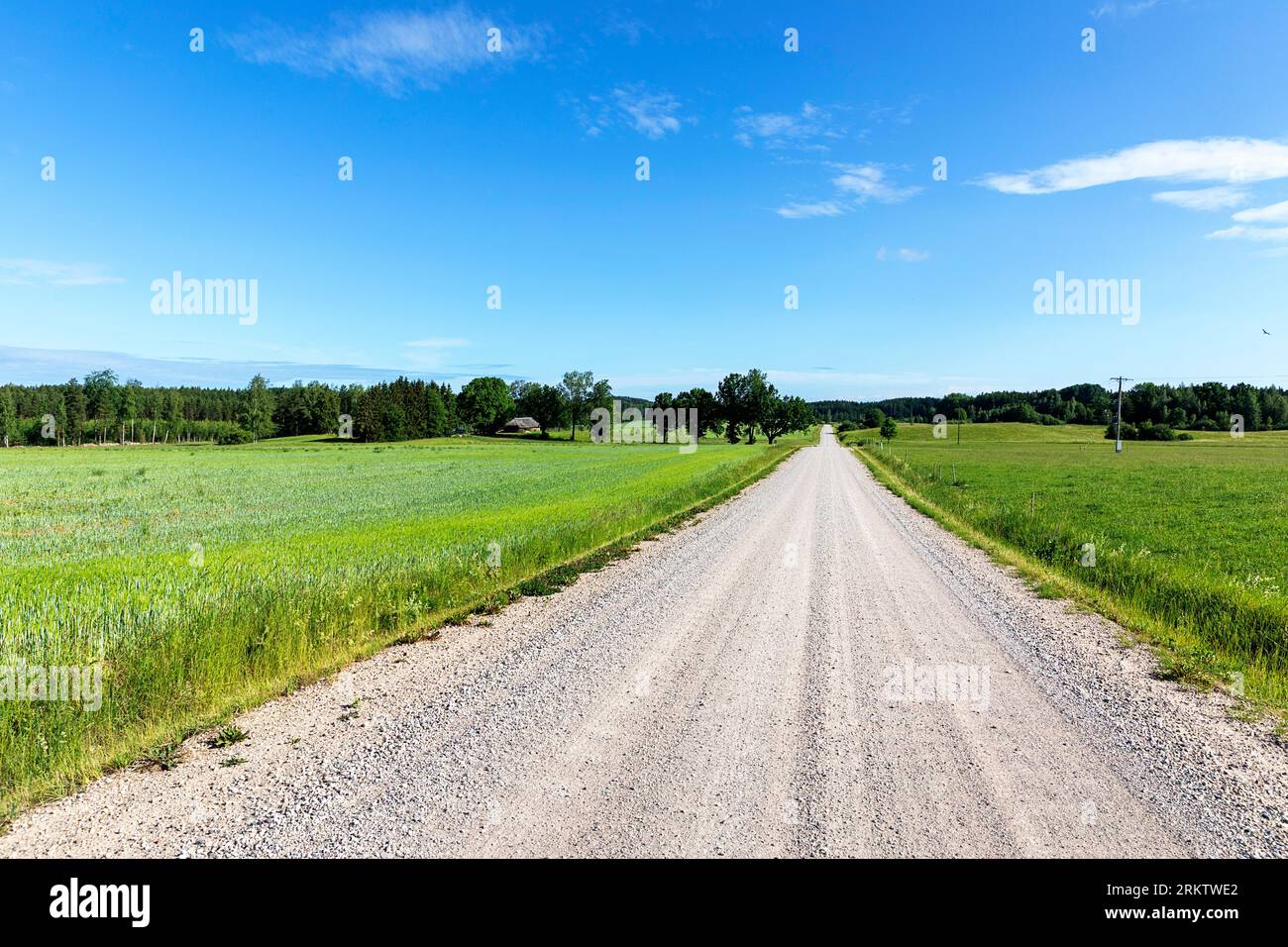 Strada dritta di ghiaia nella parte sud-orientale dell'Estonia, circondata da foreste e campi verdi, in una splendida giornata estiva soleggiata, l'Estonia Foto Stock