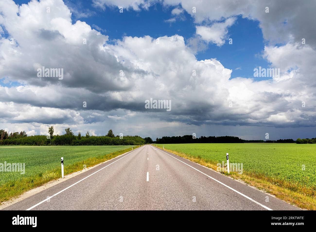 Strada principale dritta nella parte sud-orientale dell'Estonia circondata da campi verdi e da pesanti nuvole tempestose alla fine della strada Foto Stock