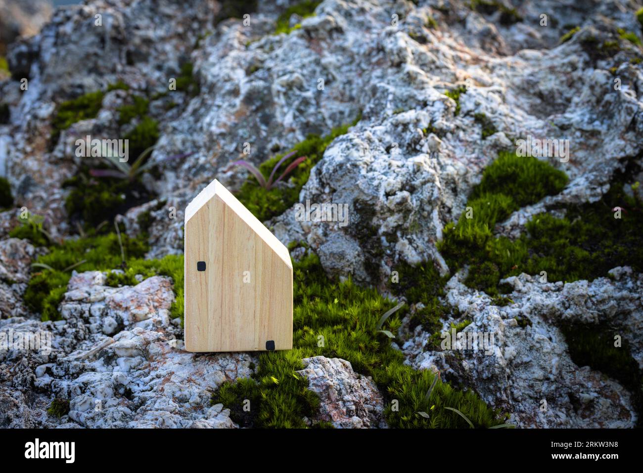 Casa in miniatura su roccia su un giardino verde sfocato a mezzogiorno luce. Immagine per concetto di investimento immobiliare. Immagine per concep. Coppia amore Foto Stock