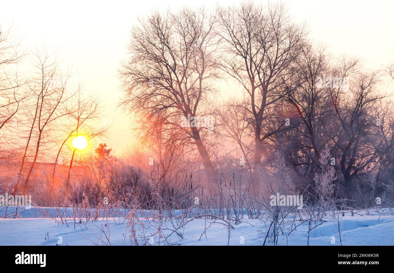 primi raggi di sole sullo sfondo di un paesaggio invernale Foto Stock