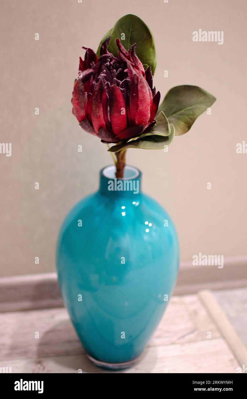 Primo piano di fiori rossi artificiali con foglie verdi in un vaso di vetro blu sullo sfondo beige chiaro per la fotografia d'interni Foto Stock