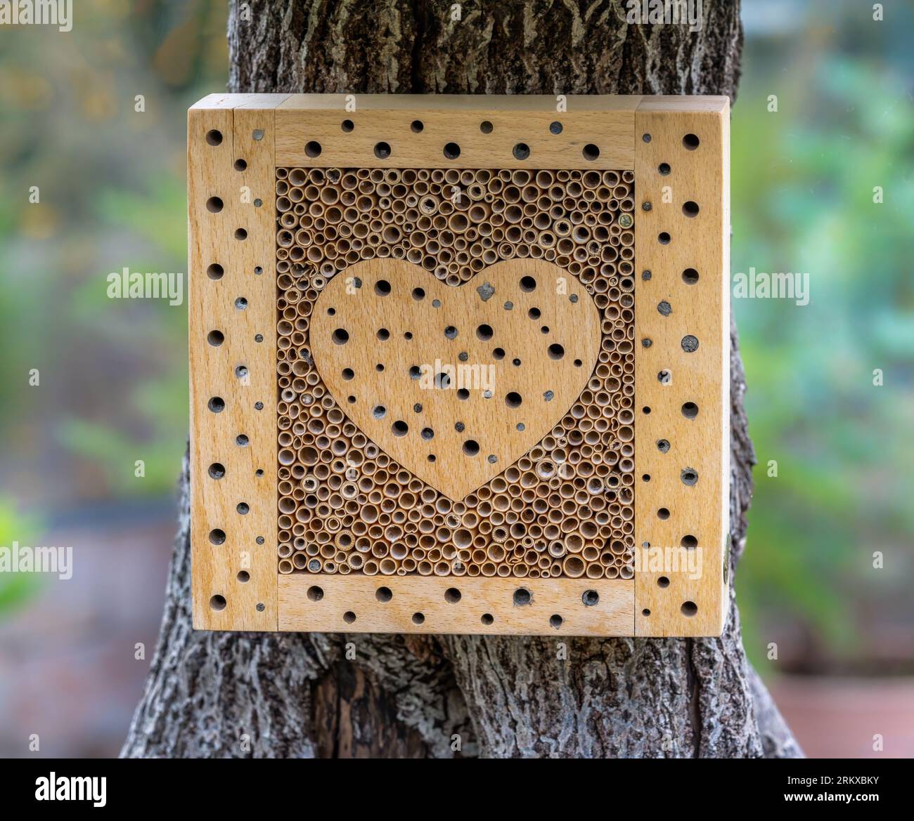 Protezione per insetti e insetti con un hotel di insetti di legno con un cuore Foto Stock