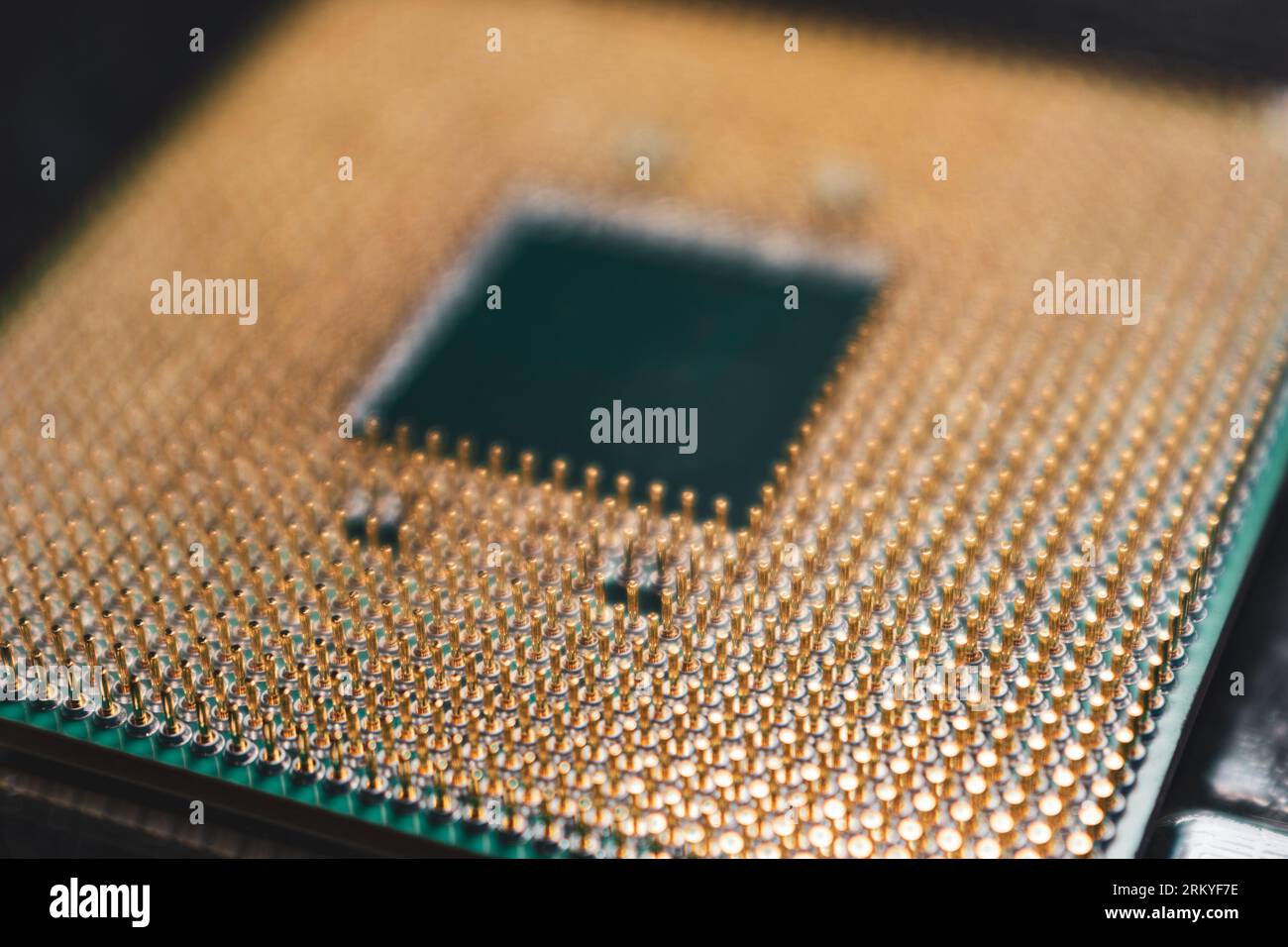 Primi contatti dei pin dorati del microchip CPU. Unità processore per PC desktop con vista selettiva della messa a fuoco Foto Stock