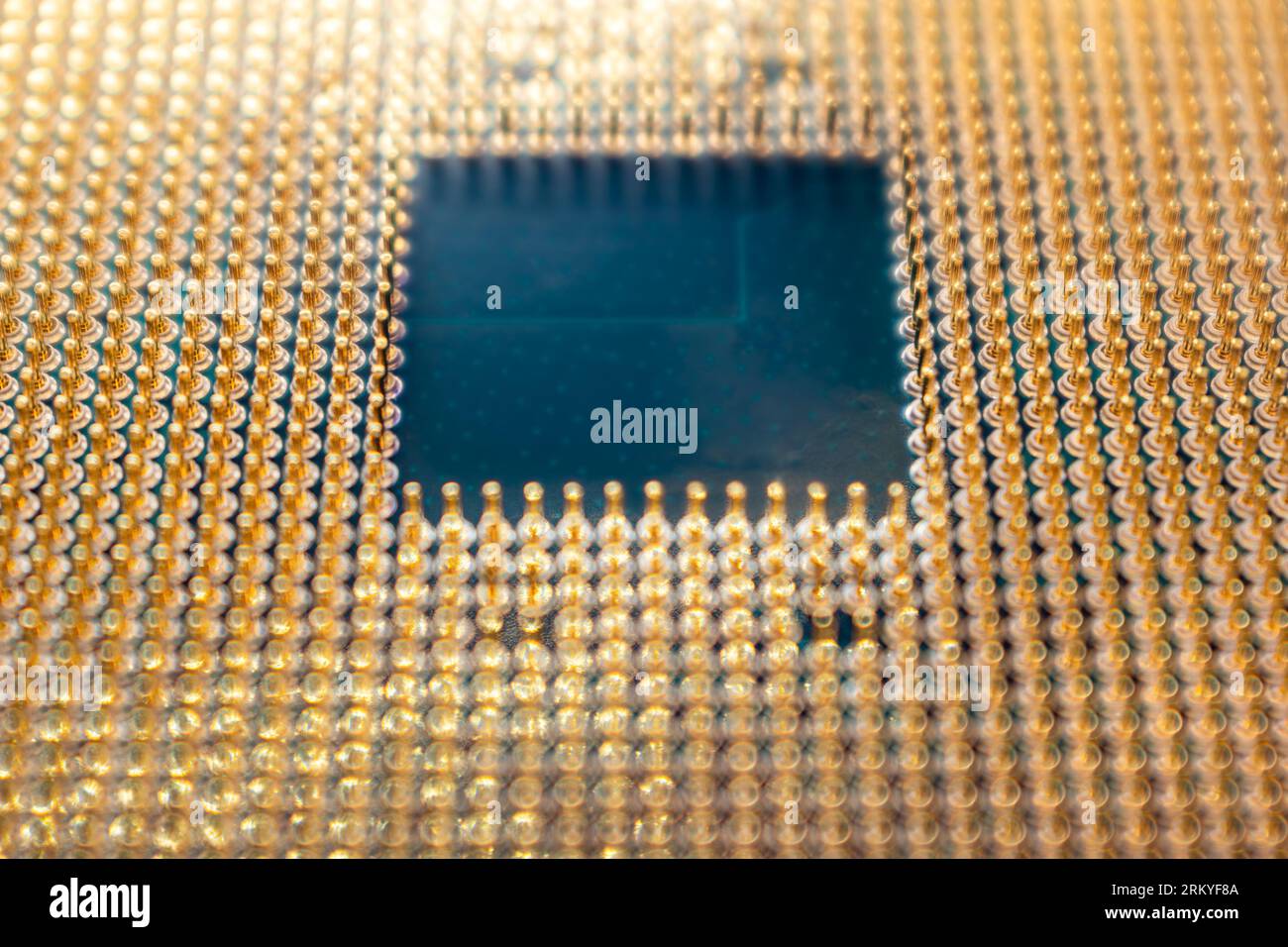 Primi contatti dei pin dorati del microchip CPU. Dettagli dell'unità processore per computer desktop con sfondo sfocato Foto Stock
