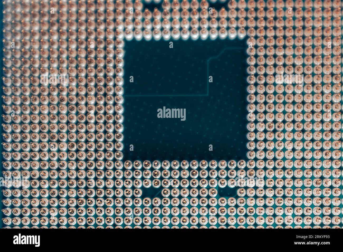 Schema ravvicinato dei contatti dei pin dorati del microchip della CPU. Dettagli dell'unità processore per PC desktop con vista di messa a fuoco selettiva Foto Stock