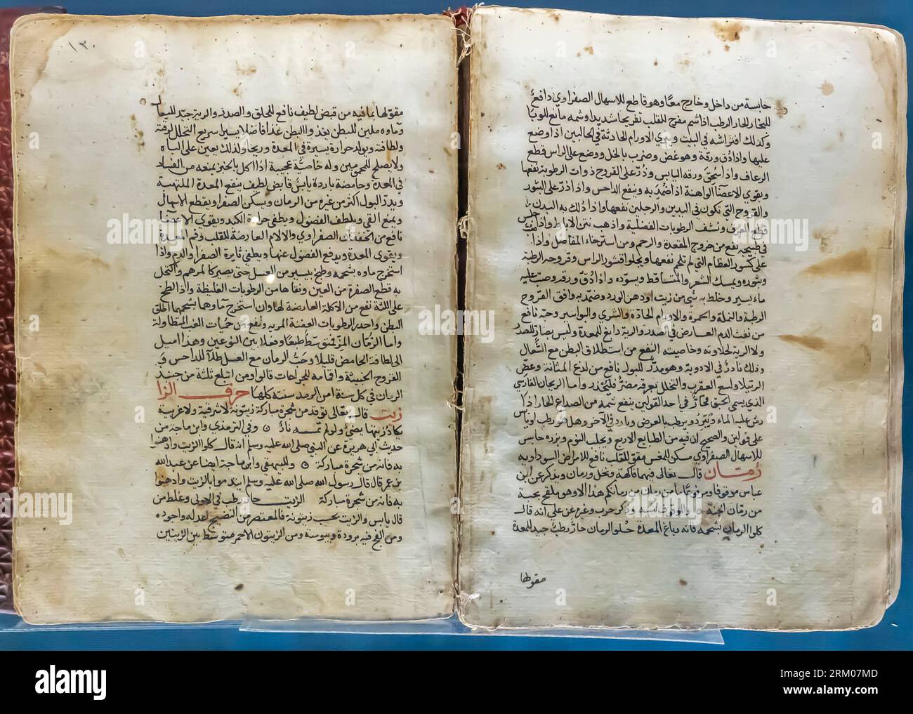 Zad al Ma'ad di ibn al Qayyim al Jowsea. Un libro di rimedi per le malattie. Bahrein del XIV secolo Foto Stock