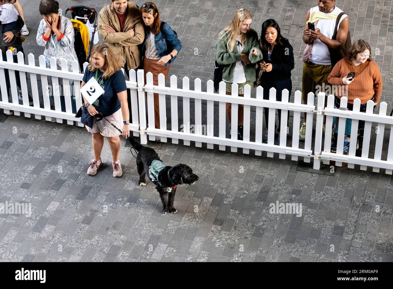 Big Woof Festival al Kings Cross Coal Drops yard di Londra per celebrare la giornata internazionale dei cani. Foto Stock
