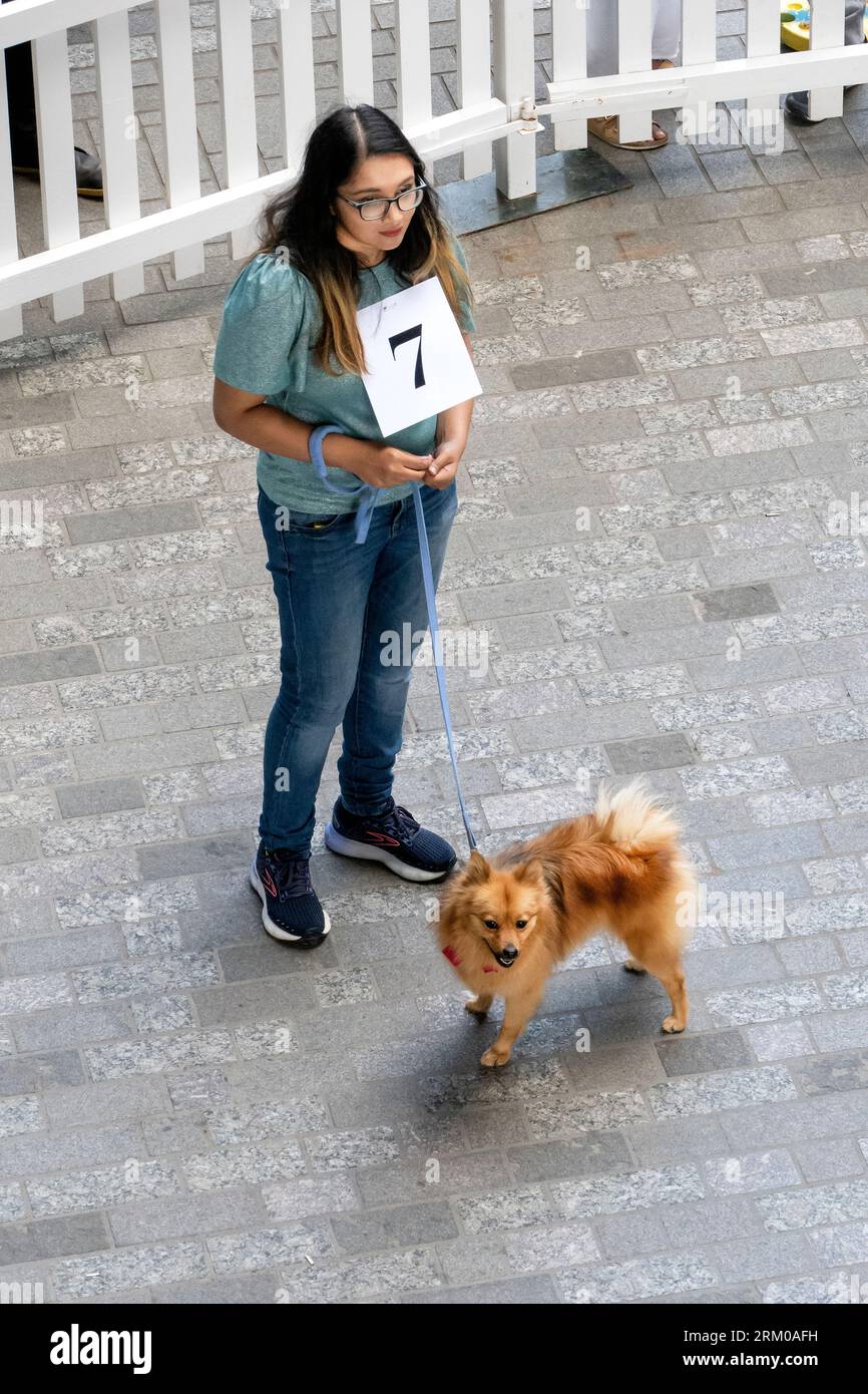 Big Woof Festival al Kings Cross Coal Drops yard di Londra per celebrare la giornata internazionale dei cani. Foto Stock