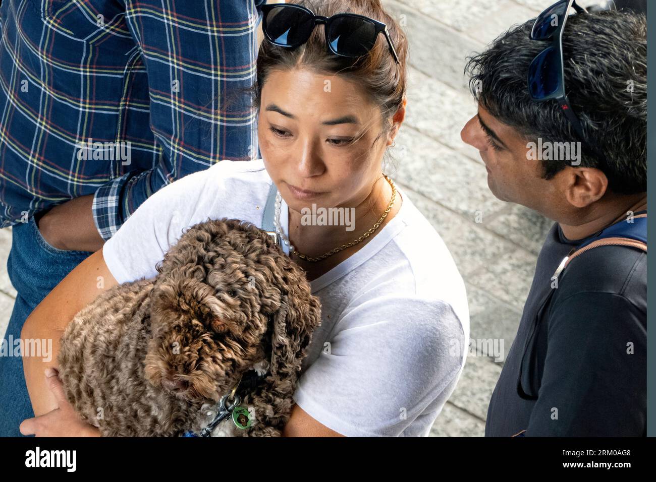 Big Woof Festival al Kings Cross Coal Drops yard di Londra per celebrare la giornata internazionale dei cani. Foto Stock