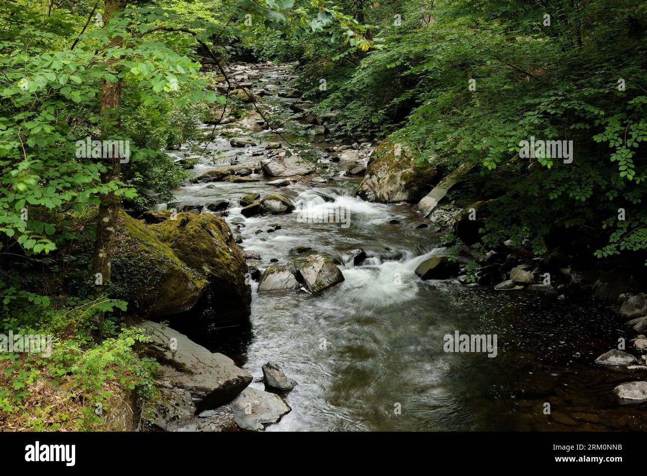 Parco Nazionale di Exmoor Foto Stock