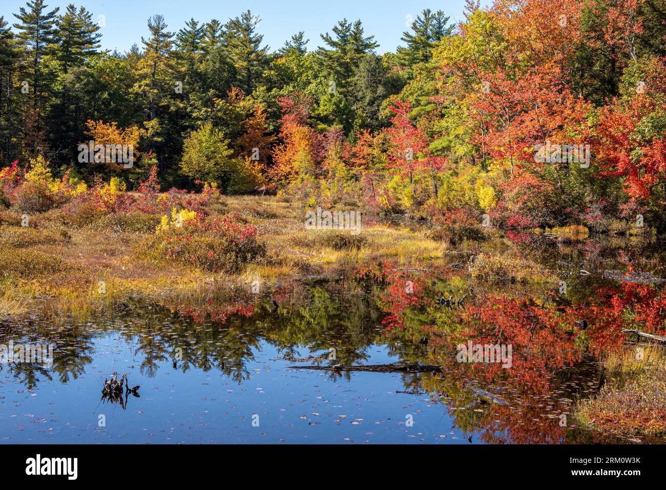 Paesaggio autunnale in una piccola cittadina rurale del New England Foto Stock