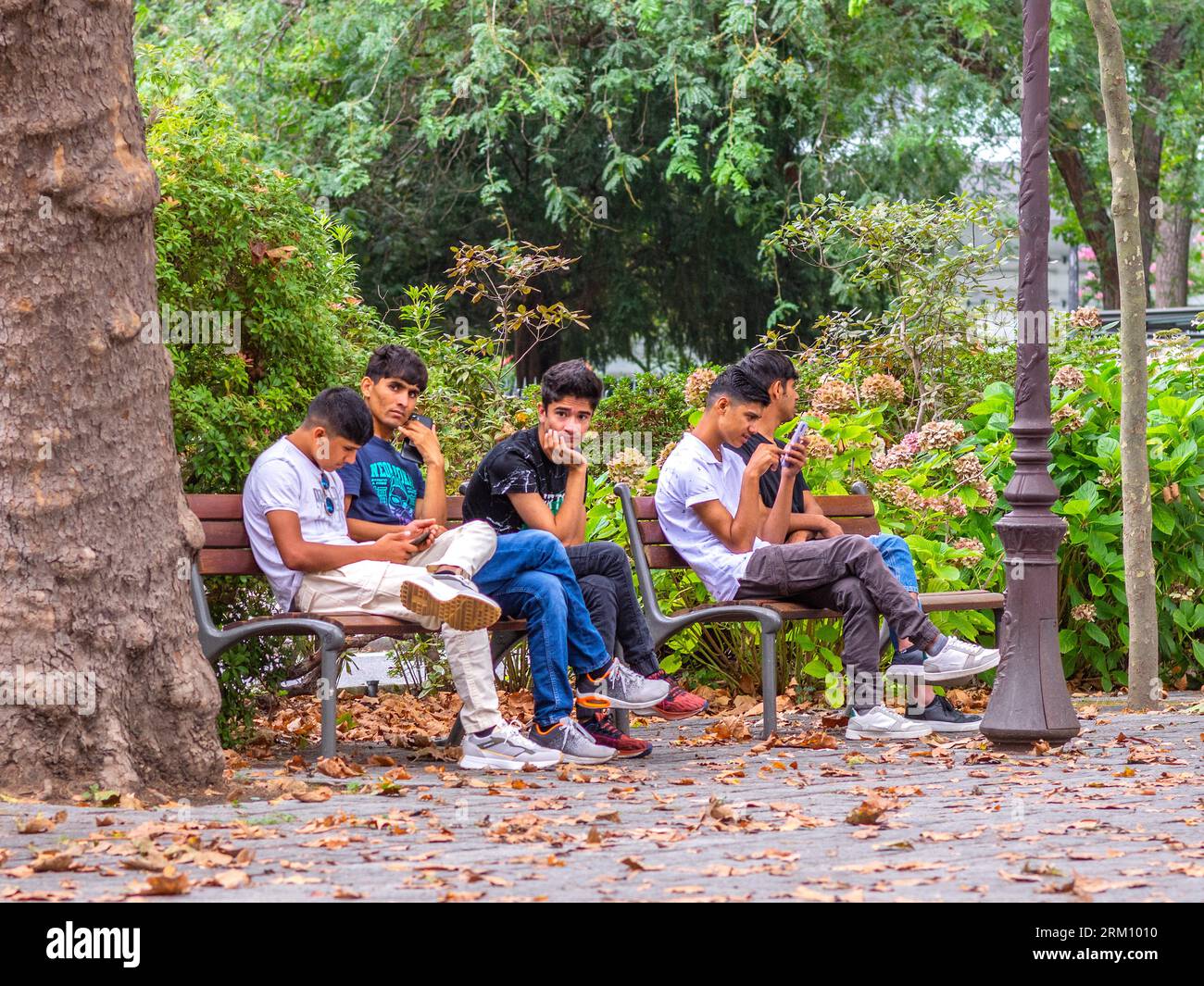 Cinque giovani amici asiatici seduti sulle panchine del parco nel centro della città - Tours, Indre-et-Loire (37), Francia. Foto Stock