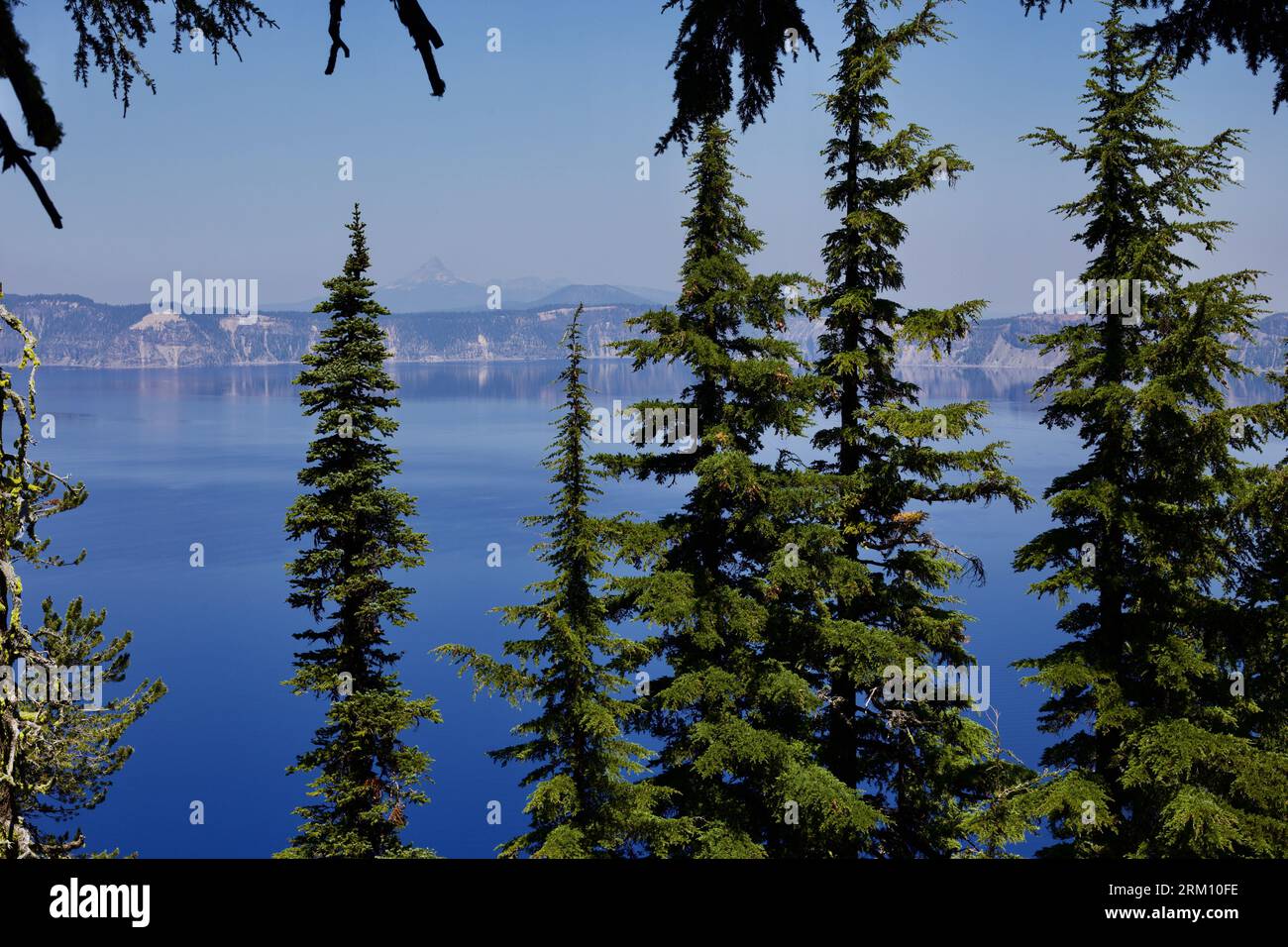 Parco nazionale di Crater Lake in Oregon Foto Stock