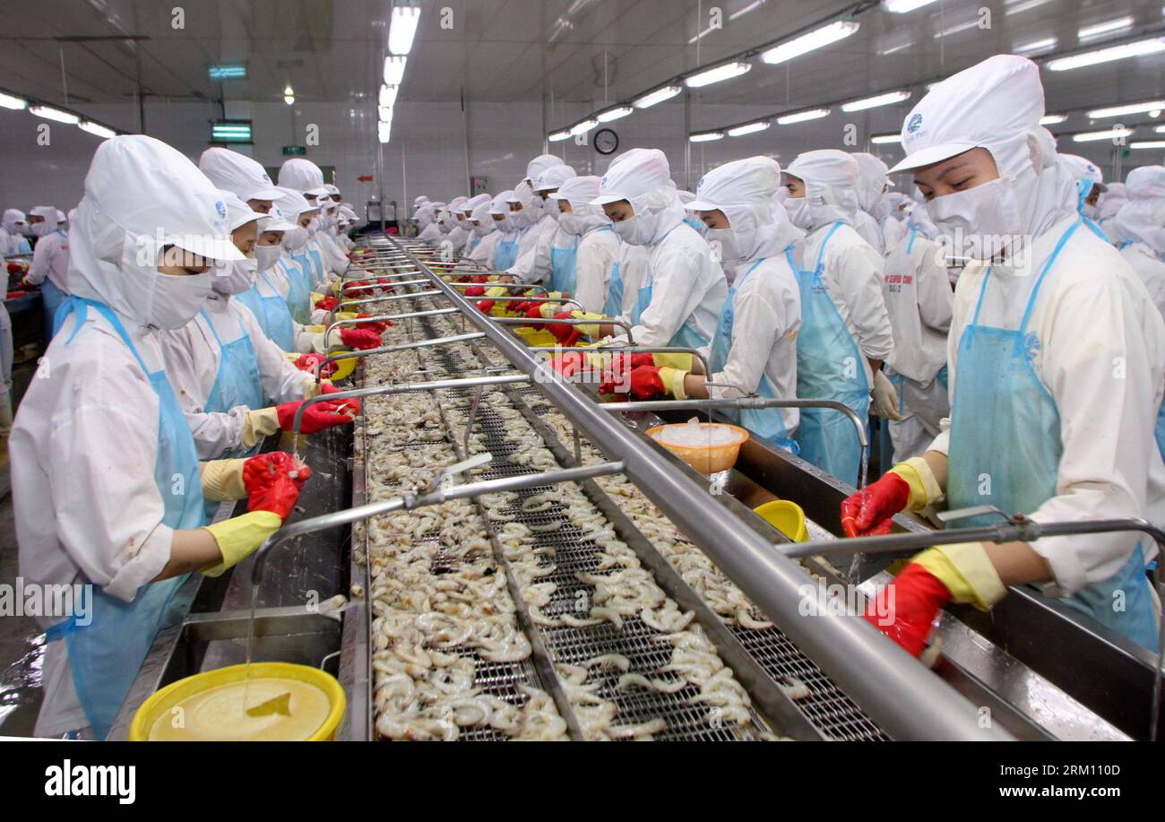 Bildnummer: 59489472 Datum: 09.04.2013 Copyright: imago/Xinhua Workers process Shrimp for export in Vietnam S Southern Province CA Mau, 9 aprile 2013. Il fatturato delle esportazioni di prodotti ittici del Vietnam nel primo trimestre di quest'anno è sceso dell'8% su base annua a 1,2 miliardi di dollari, secondo l'ultimo rapporto della Vietnam Association of Seafood Exporter and Producers (VASEP). (Xinhua/VNA) VIETNAM-CA MAU-SEAFOOD-EXPORT-DOWN PUBLICATIONxNOTxINxCHN Wirtschaft Fischerei Schrimps xjh x0x 2013 quer 59489472 Data 09 04 2013 Copyright Imago XINHUA Workers Process Shrimp for Export in Vietnam S Sout Foto Stock