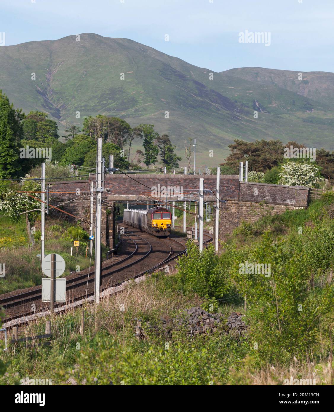 DB Cargo classe 66 locomotiva in livrea EWS che passa Grayrigg (a nord di Oxenhome sulla linea principale della costa occidentale) con un treno merci che trasporta calce Foto Stock