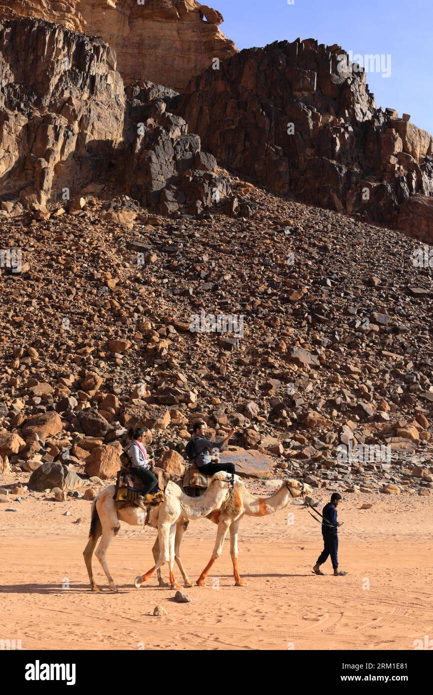 Cammelli vicino a Lawrence's Spring, Wadi Rum, Giordania, Medio Oriente Foto Stock