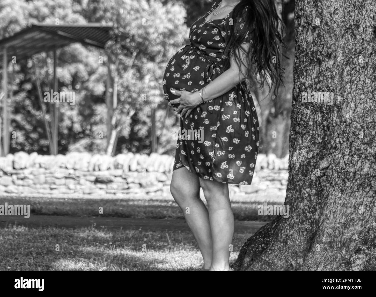 Donna incinta che si posa accanto a un albero, mettendosi le mani sulla pancia Foto Stock