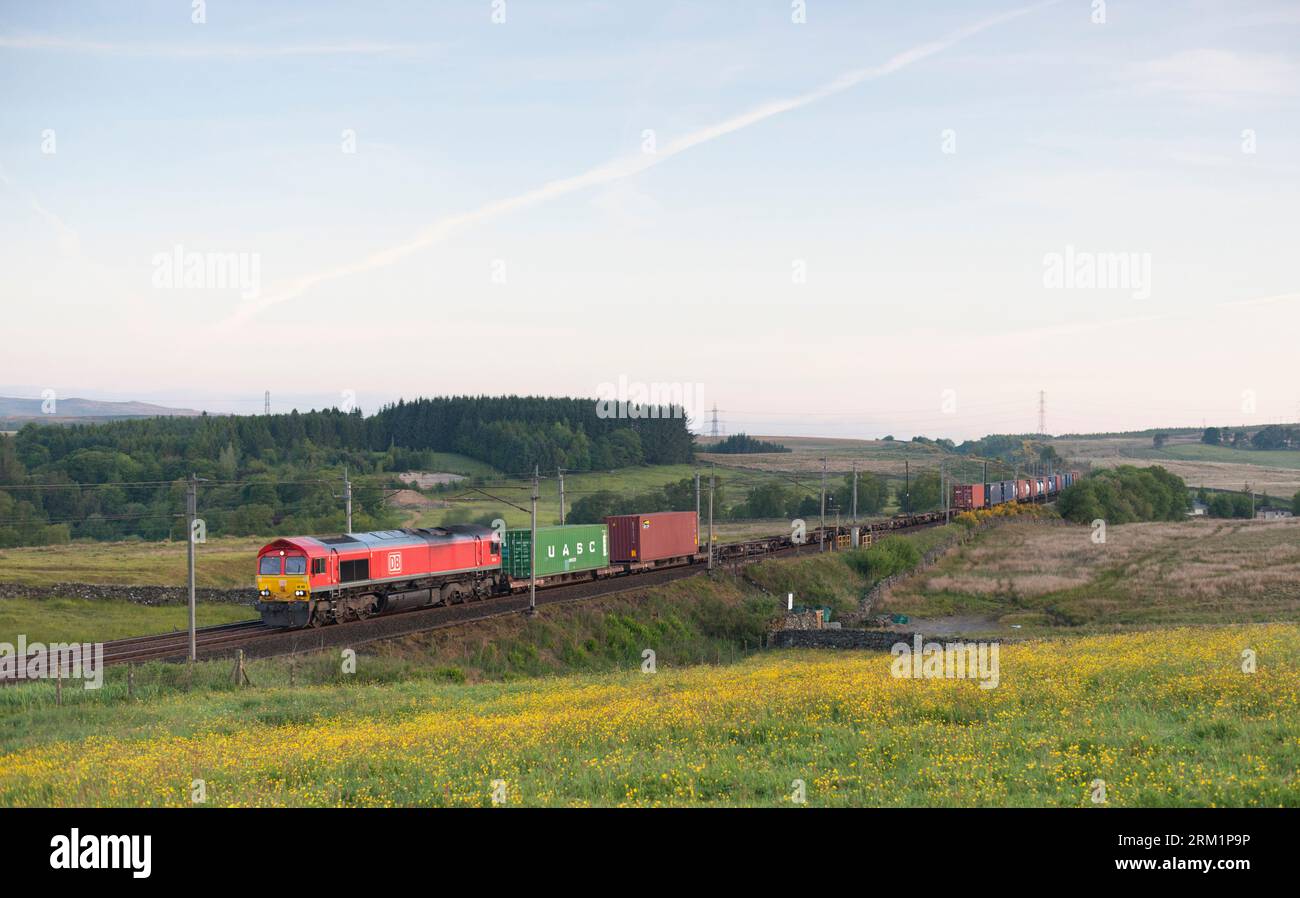 Locomotiva diesel DB cargo classe 66 sulla linea principale elettrificata della costa occidentale a Shap in Cumbria con un convoglio intermodale Foto Stock