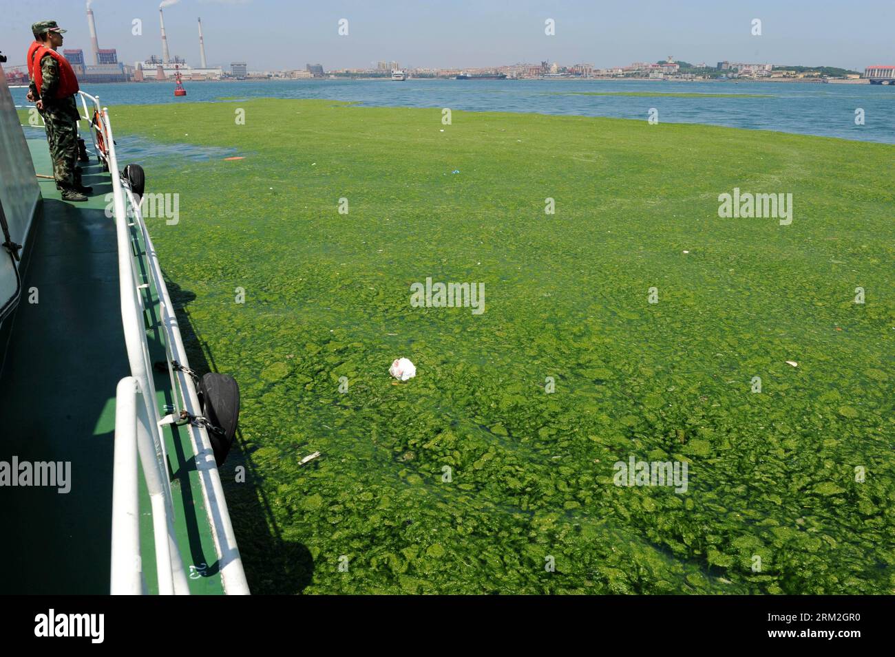 Bildnummer: 59833136 Datum: 14.06.2013 Copyright: imago/Xinhua (130614) -- QINGDAO, 14 giugno 2013 (Xinhua) -- i soldati controllano le alghe verdi nelle acque al largo della baia di Jiaozhou vicino alla città di Qingdao, provincia dello Shandong della Cina orientale, 14 giugno 2013. Negli ultimi giorni una massiccia marea verde di alghe ha colpito la spiaggia di Qingdao. (Xinhua/li Ziheng) (ry) CHINA-SHANDONG-QINGDAO-GREEN ALGAE (CN) PUBLICATIONxNOTxINxCHN xcb x2x 2013 quer o0 Grünalgen Grünalge Algen Alge Algenplage Meer Wasser 59833136 Data 14 06 2013 Copyright Imago XINHUA Qingdao giugno 14 2013 soldati XINHUA controllare le alghe verdi SUL Foto Stock